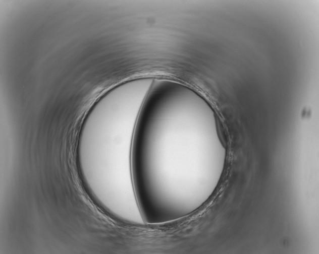 X0000092230193200709140948