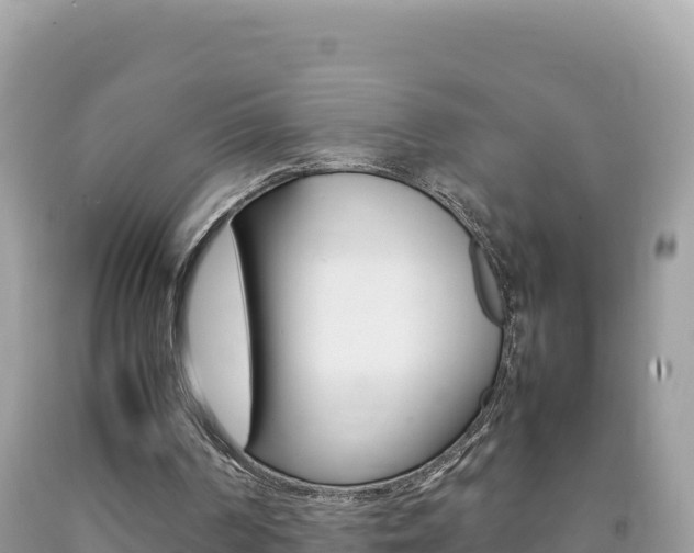X0000092230194200709140948