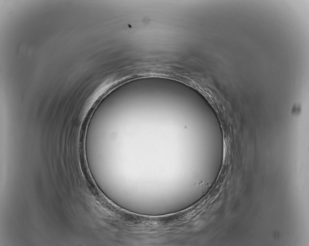 X0000092230195200709140948
