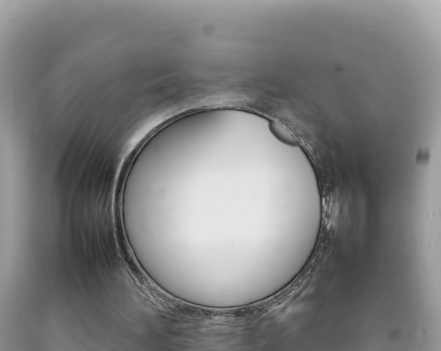X0000092230196200709140948