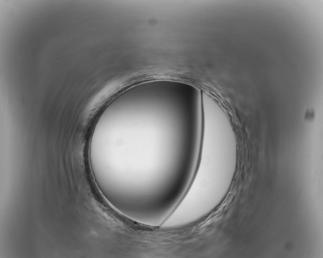 X0000092230197200709140948