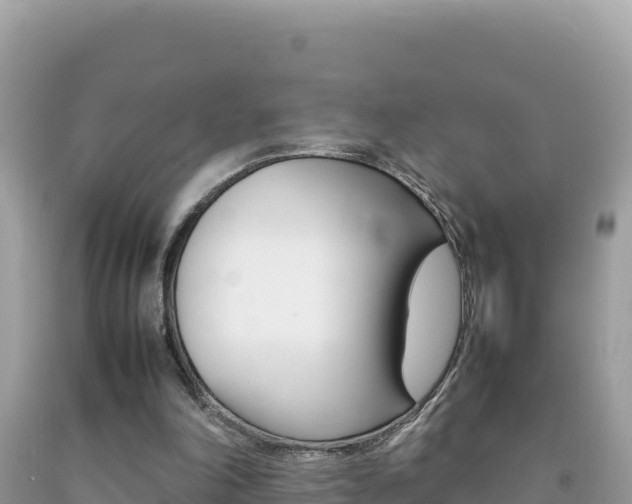 X0000092230198200709140948