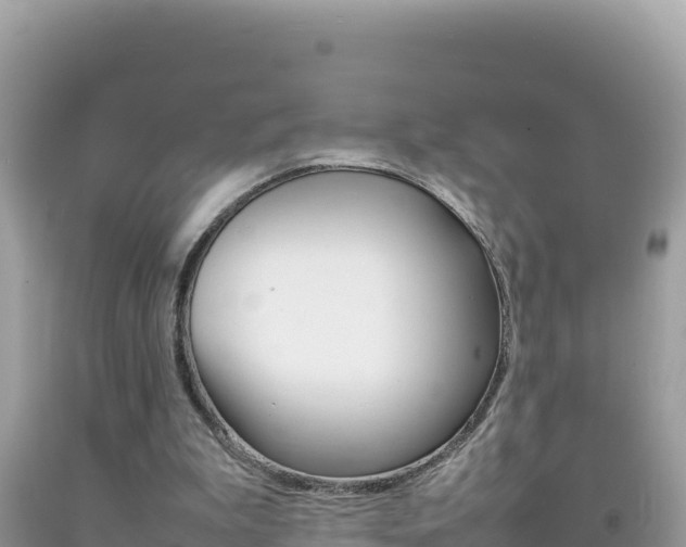 X0000092230199200709140948