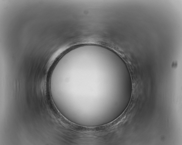 X0000092230200200709140948