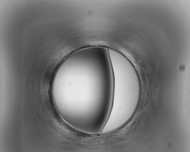 X0000092230201200709140948