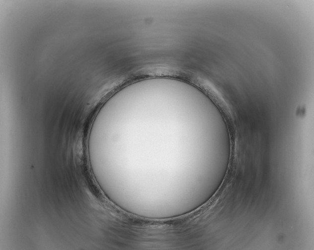 X0000092230202200709140948