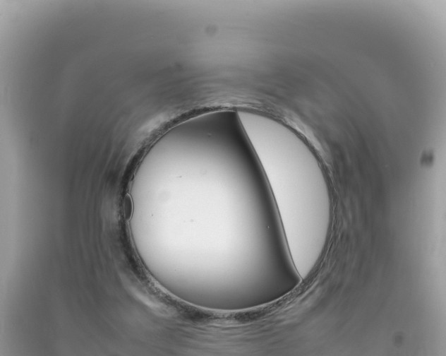 X0000092230203200709140948