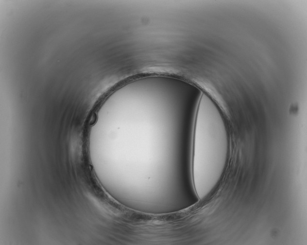 X0000092230204200709140948