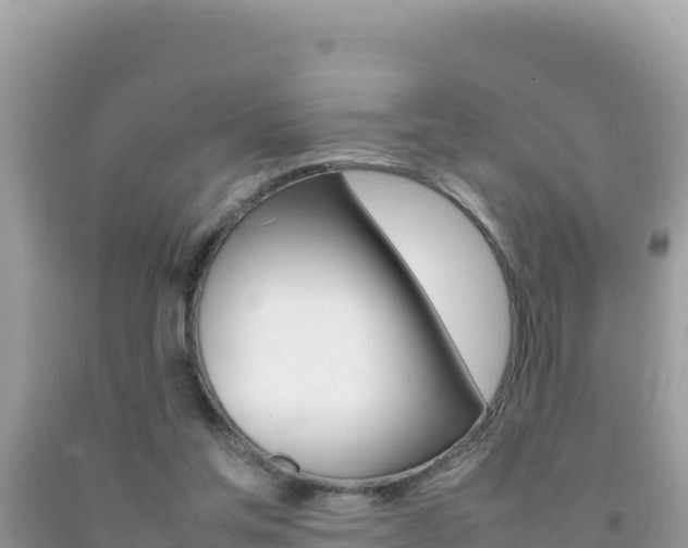 X0000092230205200709140948