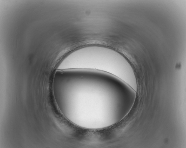 X0000092230207200709140948
