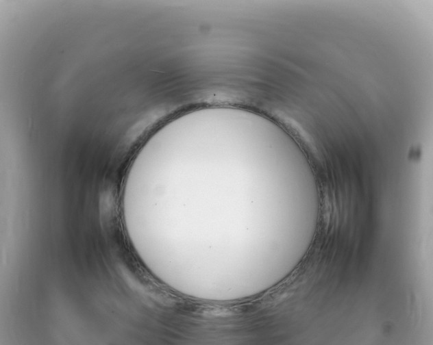 X0000092230208200709140948