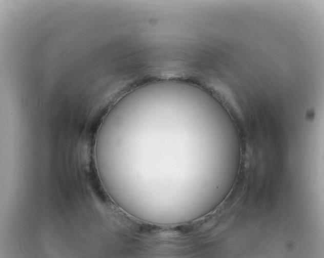 X0000092230210200709140948