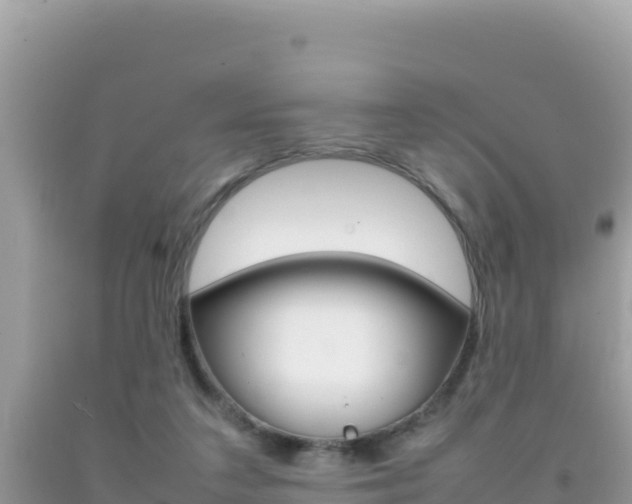 X0000092230211200709140948