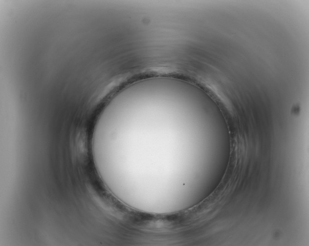 X0000092230212200709140948