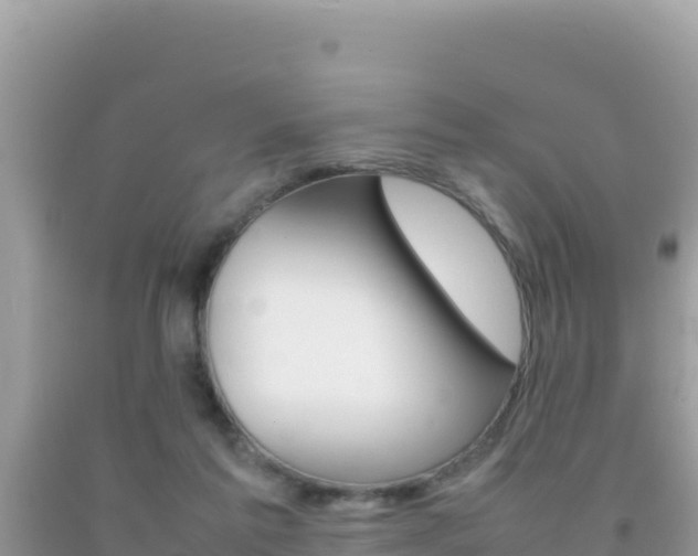 X0000092230213200709140948