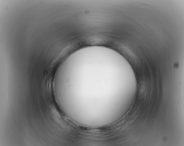 X0000092230214200709140948