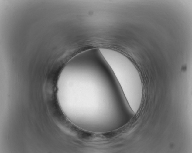 X0000092230215200709140948