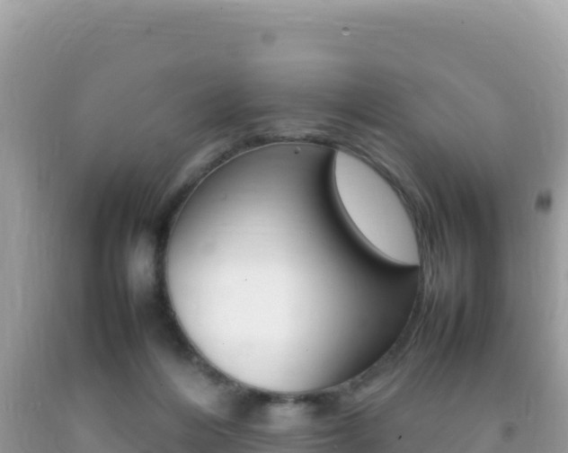 X0000092230216200709140948