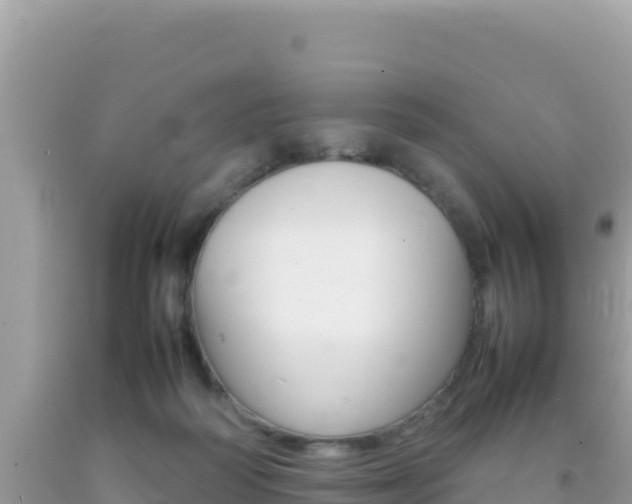 X0000092230218200709140948
