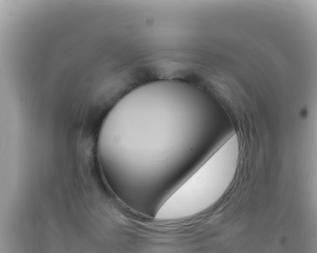 X0000092230219200709140948