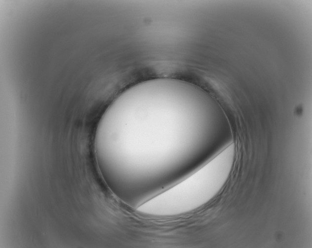 X0000092230221200709140948