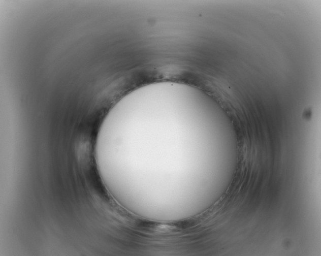 X0000092230222200709140948