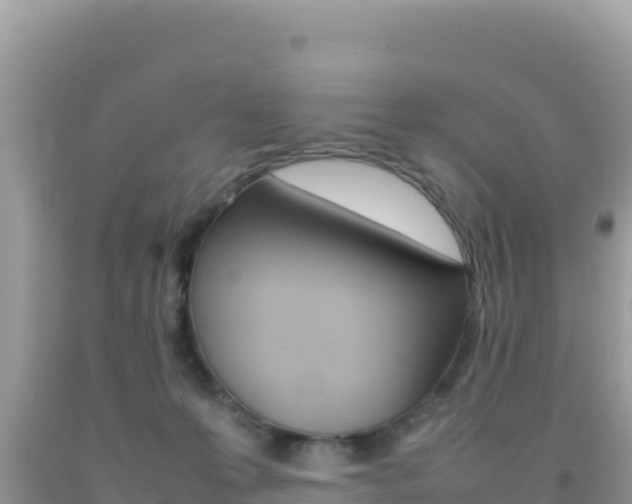 X0000092230223200709140948