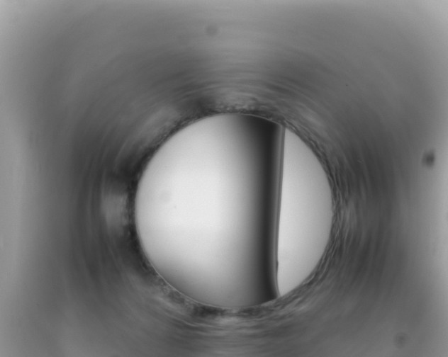 X0000092230224200709140948