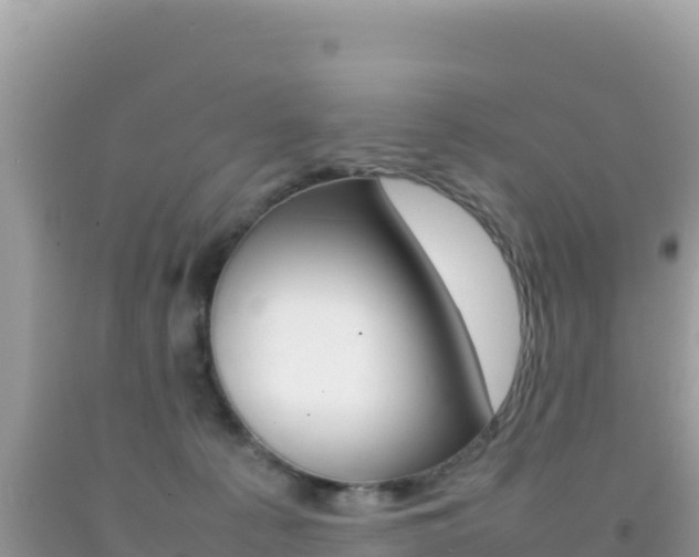 X0000092230225200709140948