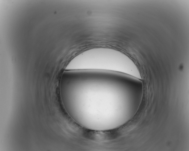 X0000092230229200709140948