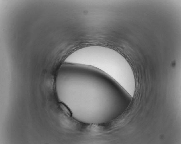 X0000092230231200709140948