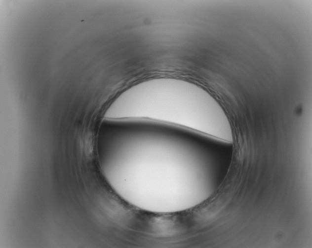 X0000092230232200709140948