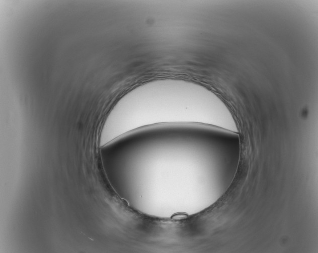 X0000092230233200709140948