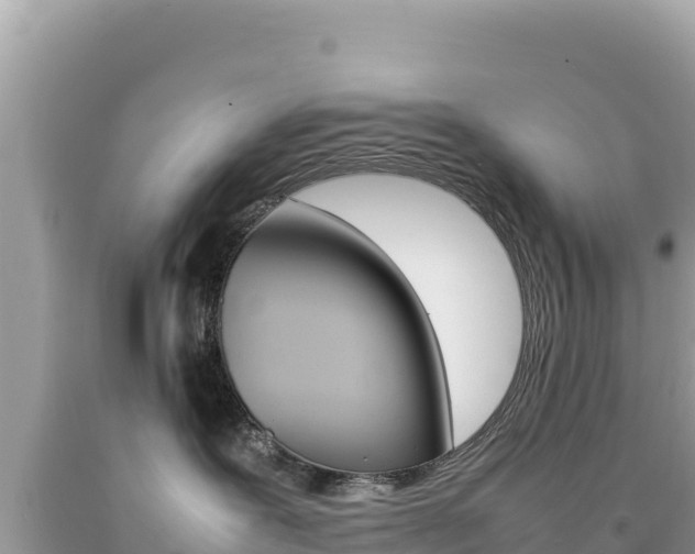 X0000092230239200709140948