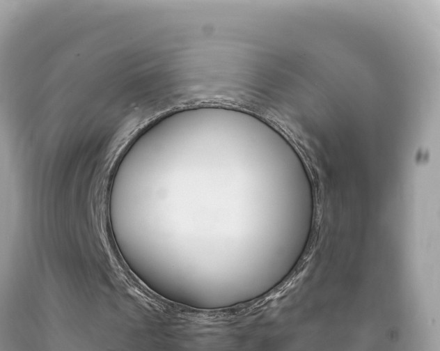 X0000092230241200709140947