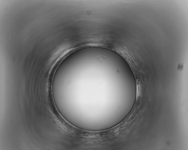X0000092230243200709140947