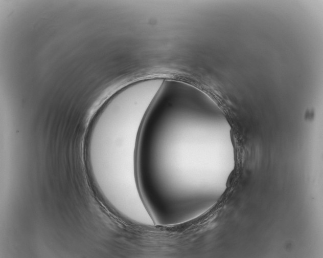 X0000092230244200709140947