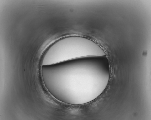 X0000092230247200709140947