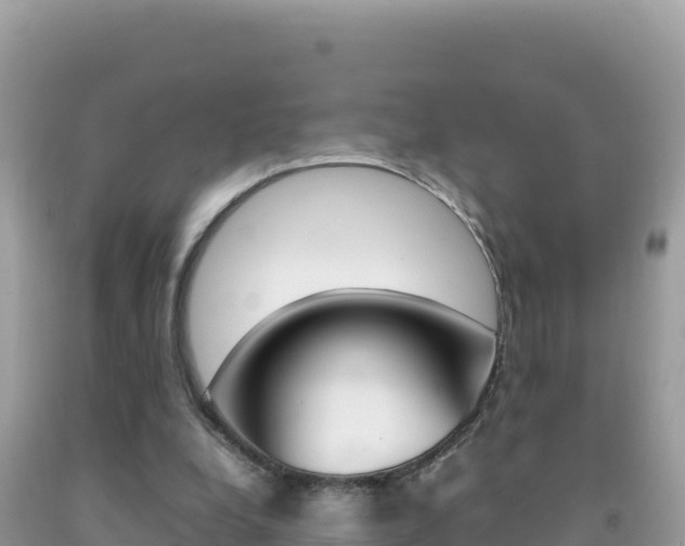 X0000092230248200709140947