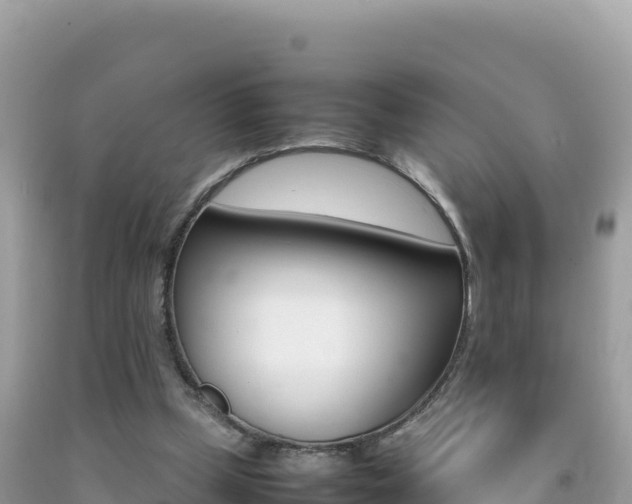 X0000092230249200709140947