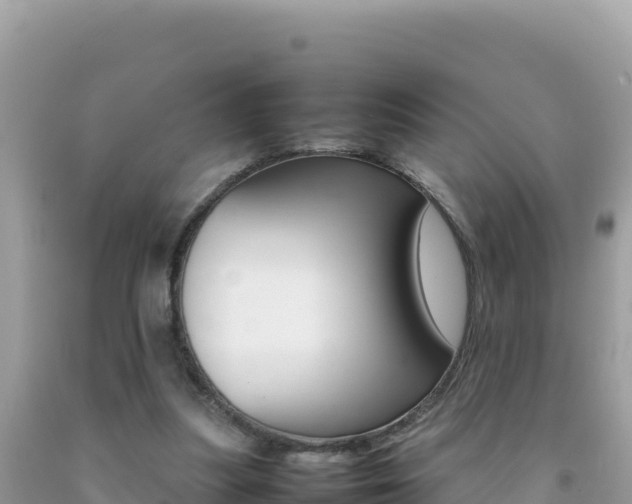 X0000092230251200709140947