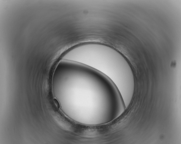 X0000092230252200709140947