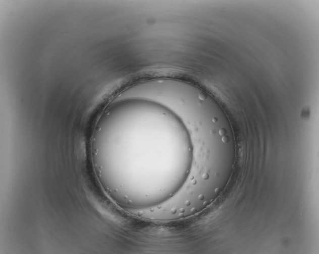 X0000092230254200709140947