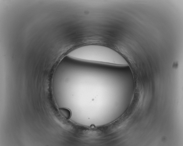 X0000092230255200709140947