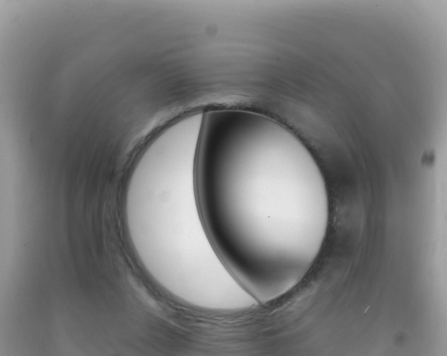 X0000092230256200709140947