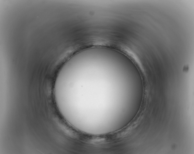 X0000092230257200709140947