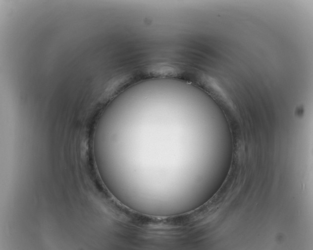 X0000092230259200709140947