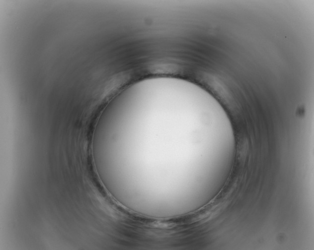 X0000092230261200709140947