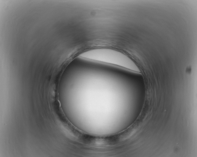 X0000092230264200709140947