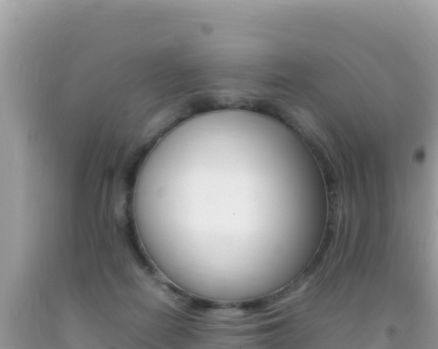 X0000092230266200709140947